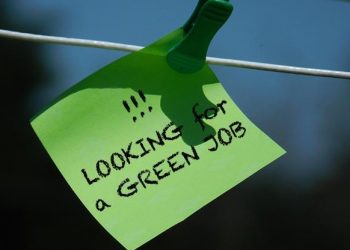 Lavoro, sempre più richieste le competenze green
