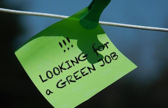 Lavoro, sempre più richieste le competenze green
