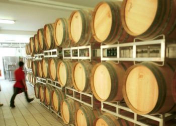 Vino, sotto la lente le nuove sfide per i giovani imprenditori