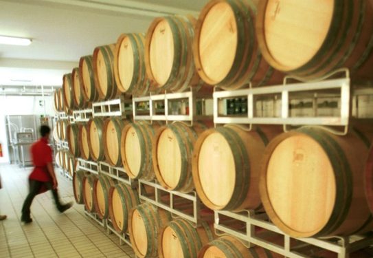 Vino, sotto la lente le nuove sfide per i giovani imprenditori