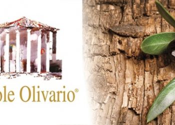 Evento social per il miglior olio d’oliva italiano
