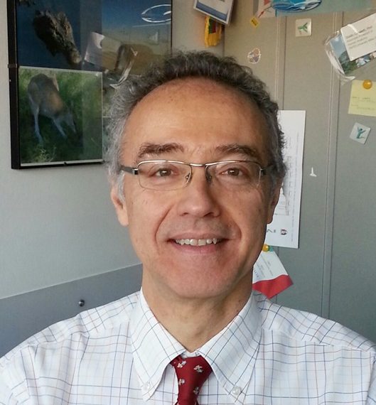 Guido Cavaletti
