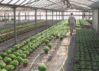 Agricoltura, tour dei giovani imprenditori tra filiere e innovazione