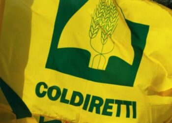 Bandiera con logo Coldiretti