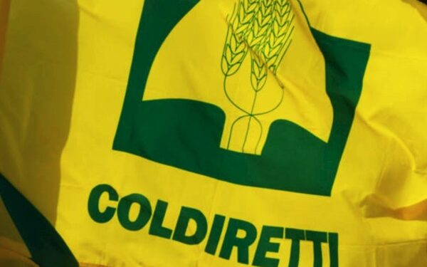 Bandiera con logo Coldiretti
