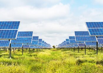 1,6 milioni gli esperti in ambiente ricercati entro il 2024,  digital skill indispensabili