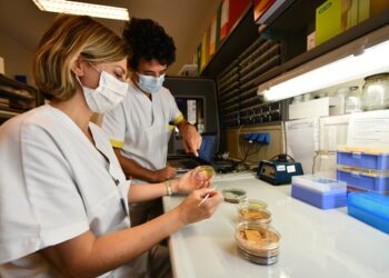 Ricerca scientifica, il Covid-19 cambia attività e spazi