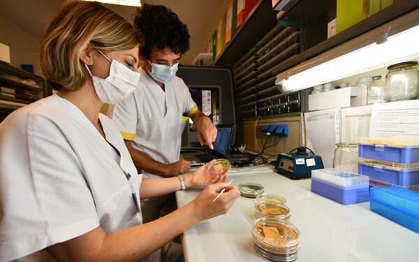 Ricerca scientifica, il Covid-19 cambia attività e spazi