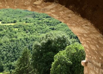 L’immobiliare si tinge di verde