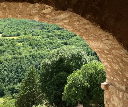 L’immobiliare si tinge di verde