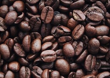 “Non solo bello e buono ma modello di impresa sostenibile”