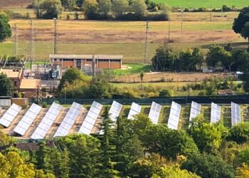 Sostenibilità, 9 imprese su 10 hanno investito in responsabilità