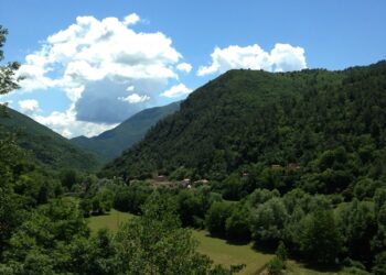 Un luogo isolato a contatto con la natura, ecco il sogno di 4 lavoratori su 10