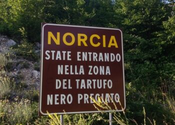 Tartufo, pronto il bando per lo sviluppo della filiera in Umbria