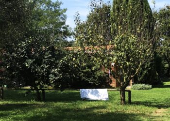 In Italia si sogna un giardino ma l’offerta non incontra la domanda