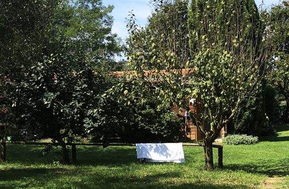 In Italia si sogna un giardino ma l’offerta non incontra la domanda