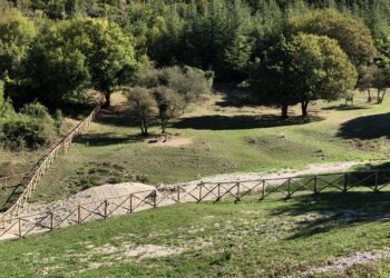 Turismo, anche l’Umbria al Ttg Travel Experience di Rimini