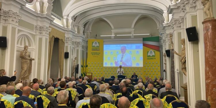 Coldiretti: “sono i nonni a salvare il bilancio domestico”