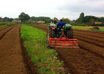 Coldiretti, i tabacchicoltori danno il via agli incontri territoriali