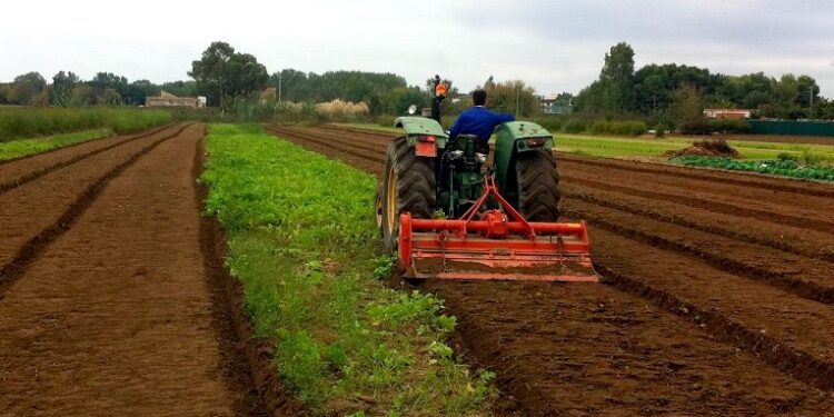Coldiretti, i tabacchicoltori danno il via agli incontri territoriali
