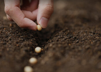 “Prolunghiamo la vita dei prodotti per abbattere gli sprechi”