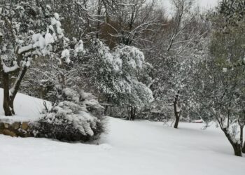 Turismo invernale, prenotazioni in crescita