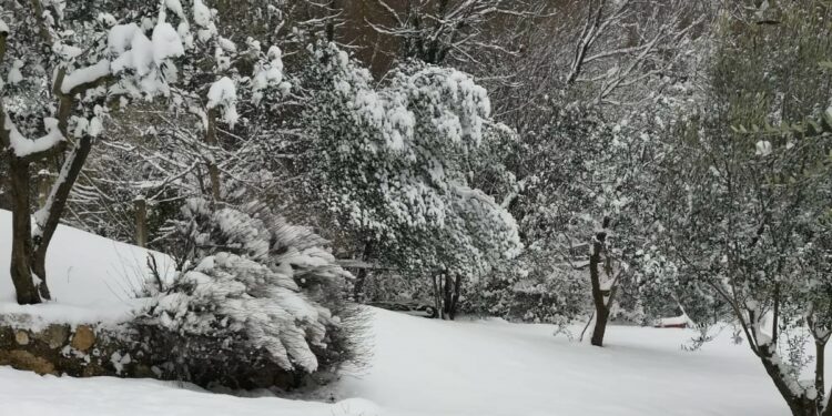 Turismo invernale, prenotazioni in crescita
