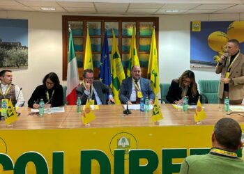 Filiera della chianina, Coldiretti Umbria presenta il progetto