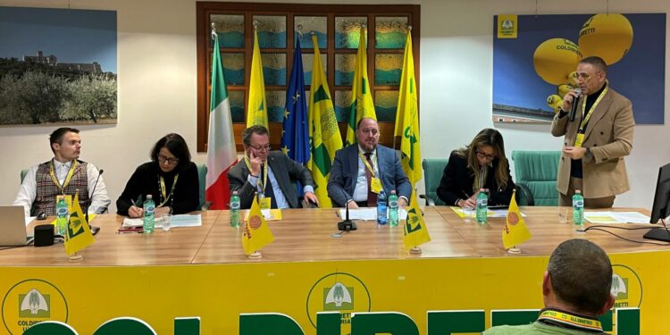 Filiera della chianina, Coldiretti Umbria presenta il progetto