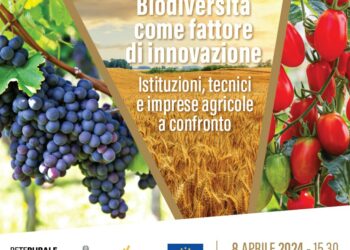 Immagine tratta da facebook.com/IsmeaOfficial