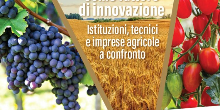 Immagine tratta da facebook.com/IsmeaOfficial