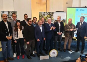 Umbria, premiati i migliori oli d’oliva del 2024