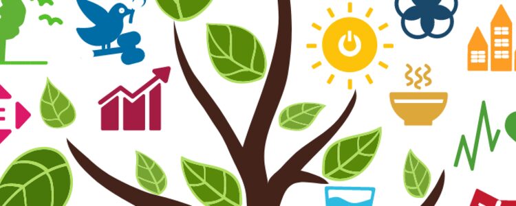 Verso le professioni del futuro, alla Sapienza la “sostenibilità” diventa materia universitaria