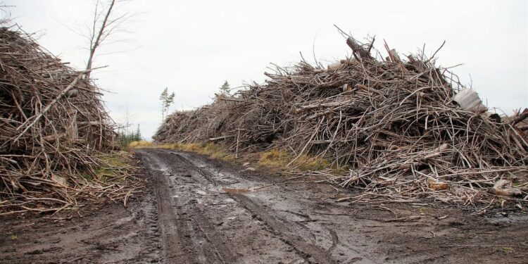 Calamità naturali-Foto di ivabalk da Pixabay