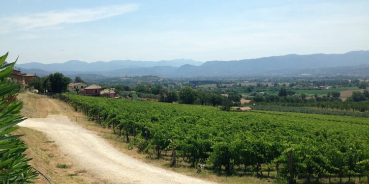 Umbria, il territorio e le sue potenzialità al centro del Bando della Camera di commercio
