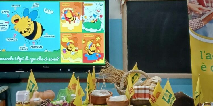 Ortofrutta, contro il calo dei consumi in Umbria si insegna educazione alimentare