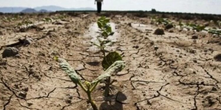 Siccità