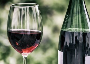 Un calice di vino rosso (Foto di Wolfgang Claussen da Pixabay)