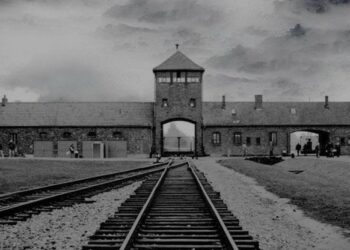 Giornata internazionale della memoria