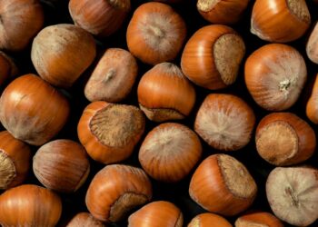 Nocciole, gli scarti di lavorazione diventano mangime per animali (Foto di Mikhail Nilov da pexels.com)