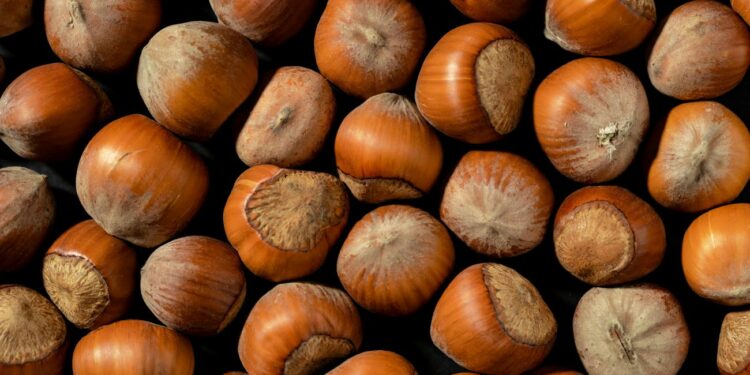 Nocciole, gli scarti di lavorazione diventano mangime per animali (Foto di Mikhail Nilov da pexels.com)