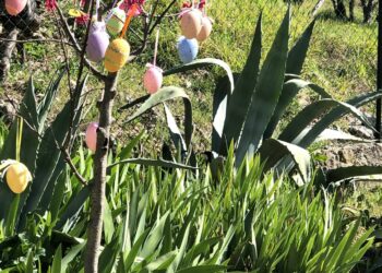 Tra natura e spiritualità, per le vacanze di Pasqua e i "ponti", boom di prenotazioni in Italia con traino dell'Anno Giubilare e dello "slow tourism"
