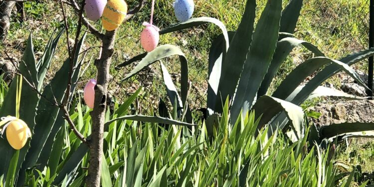 Tra natura e spiritualità, per le vacanze di Pasqua e i "ponti", boom di prenotazioni in Italia con traino dell'Anno Giubilare e dello "slow tourism"