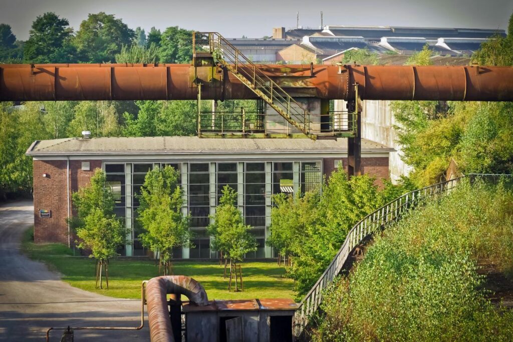 Azienda "green" (foto tratta da Pixabay)
