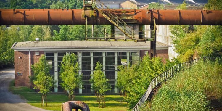 Azienda "green" (foto tratta da Pixabay)