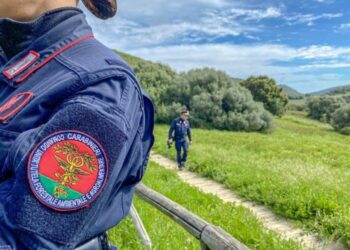 Concorso Carabinieri 2025: aperta la strada alla specializzazione ambientale
