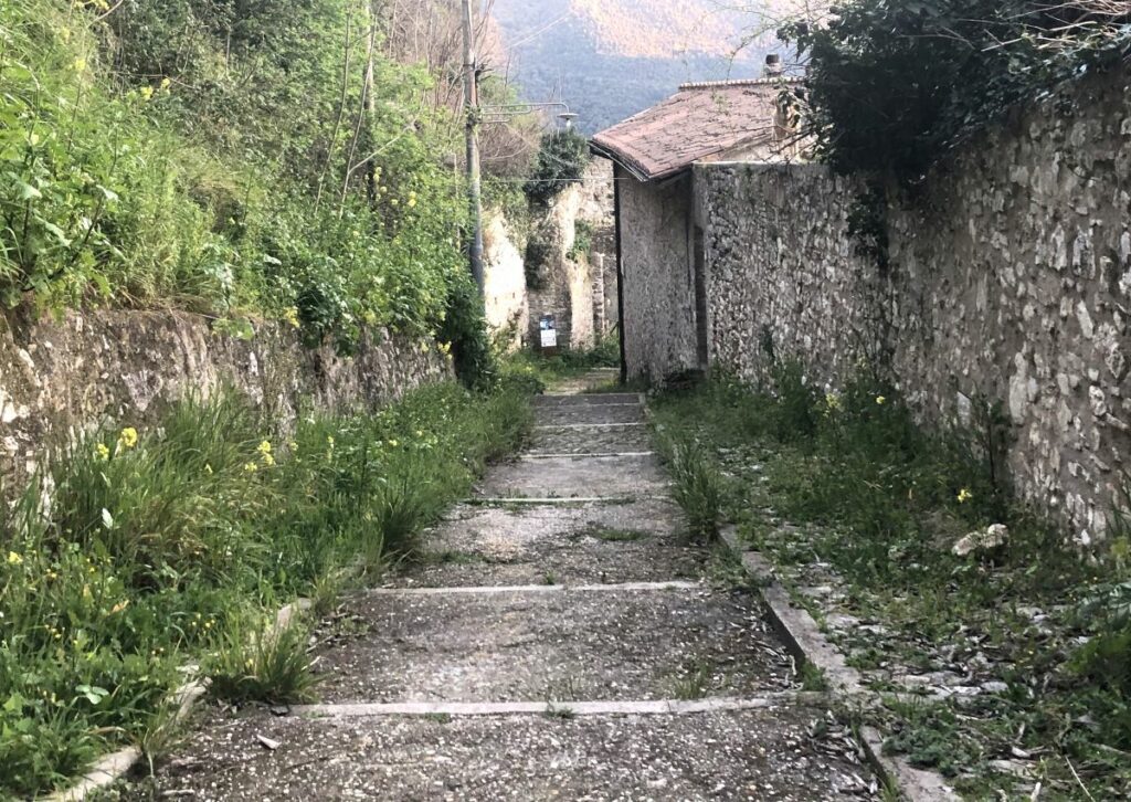 Ambiente e architettura. In questa immagine evocativa la vegetazione spontanea "riprende " il proprio spazio (foto V.B. attualitalavoro.it)