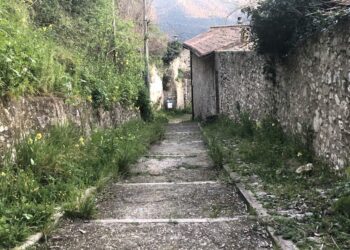 Ambiente e architettura. In questa immagine evocativa la vegetazione spontanea "riprende " il proprio spazio (foto V.B. attualitalavoro.it)