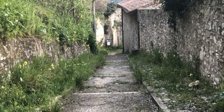 Ambiente e architettura. In questa immagine evocativa la vegetazione spontanea "riprende " il proprio spazio (foto V.B. attualitalavoro.it)