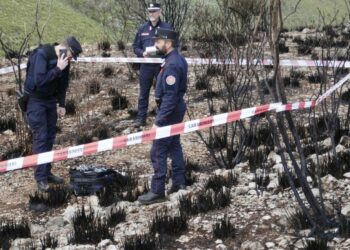 Incendi boschivi, droni, investigazioni lampo e pattuglie specializzate nella nuova strategia 2026